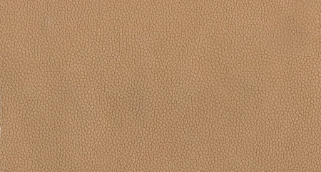 LIFE_ACORN