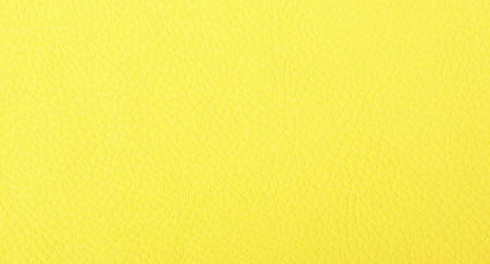 Carnaval_Amarillo_1