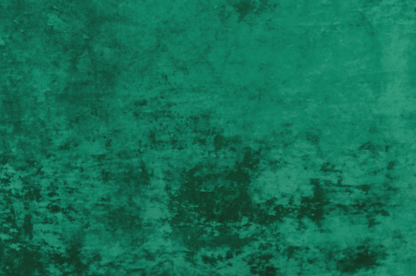 Мебельный велюр DOLORE 31