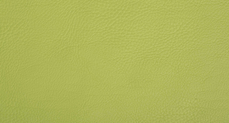 Carnaval_Claro_Verde_1