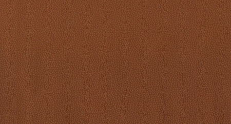 LIFE_CAMEL