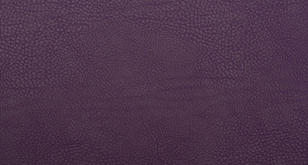 Carnaval_Plum_1