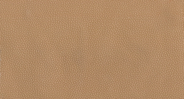 Искусственная кожа LIFE ACORN