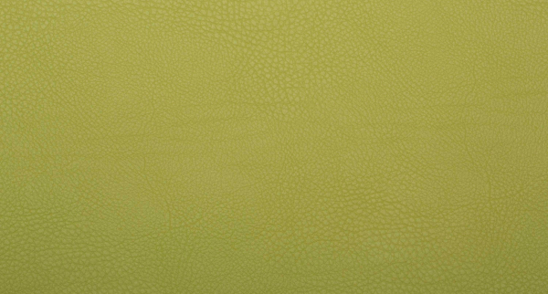 Искусственная кожа CARNAVAL VERDE (салатовый)