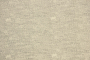 Cherry-01_4