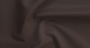 LIFE_RAISIN_4